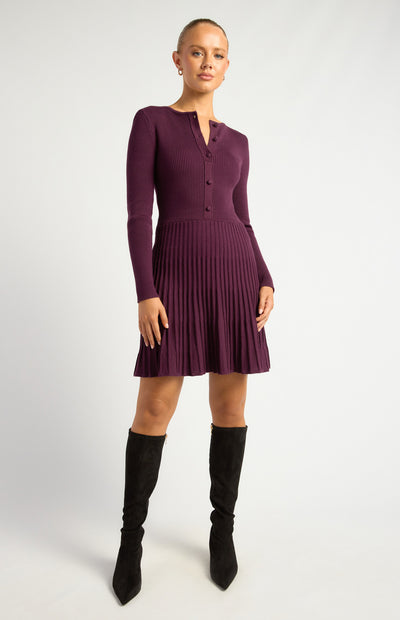 Whitney Knit Mini Dress